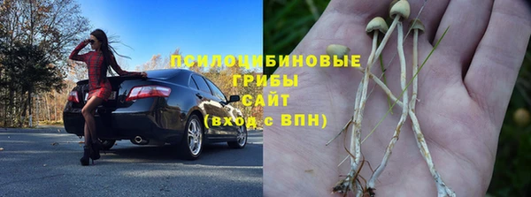 МДПВ Ладушкин