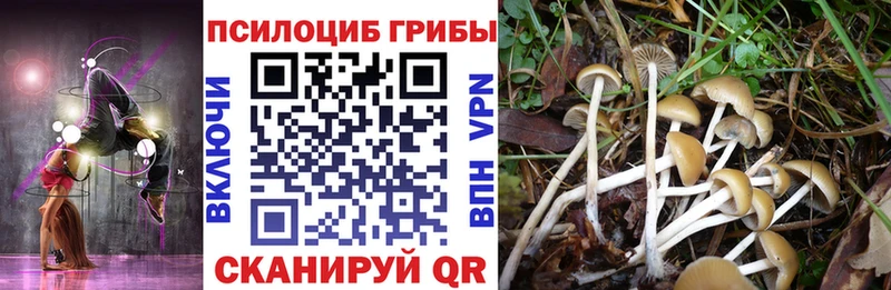 Псилоцибиновые грибы мухоморы  кракен как зайти  Магас 